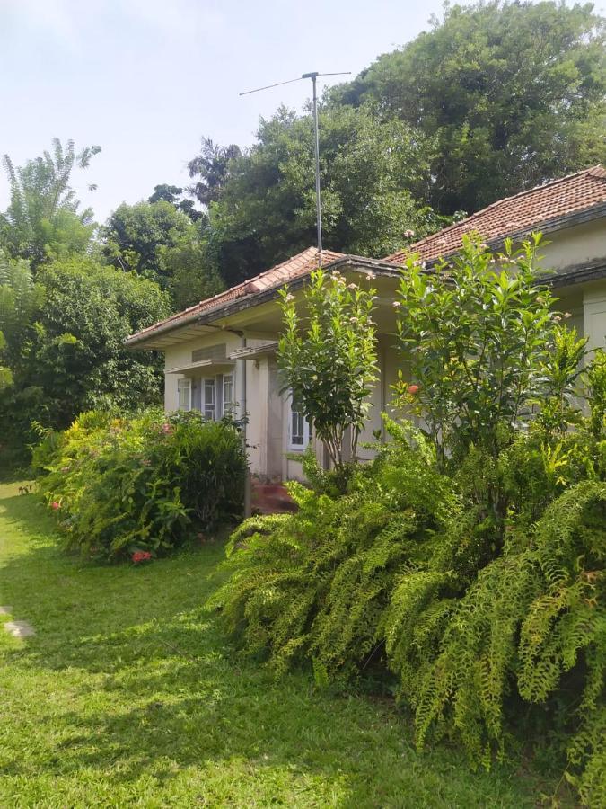 Weeragiri Homestay