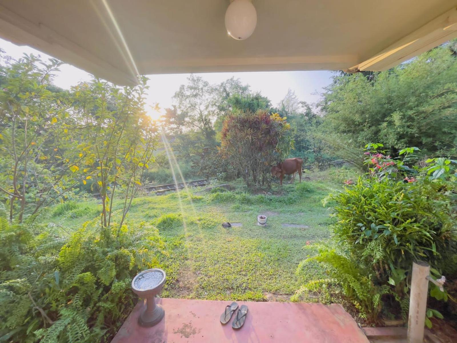 Homestay Weeragiri Mirissa